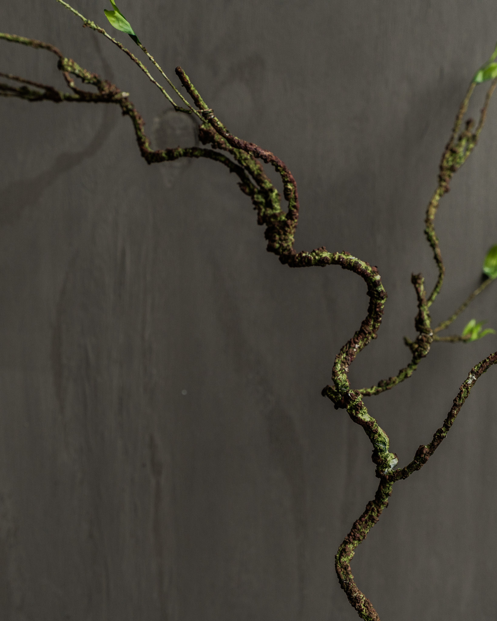 WEIDENBRANCH GRÜN 80 cm-1