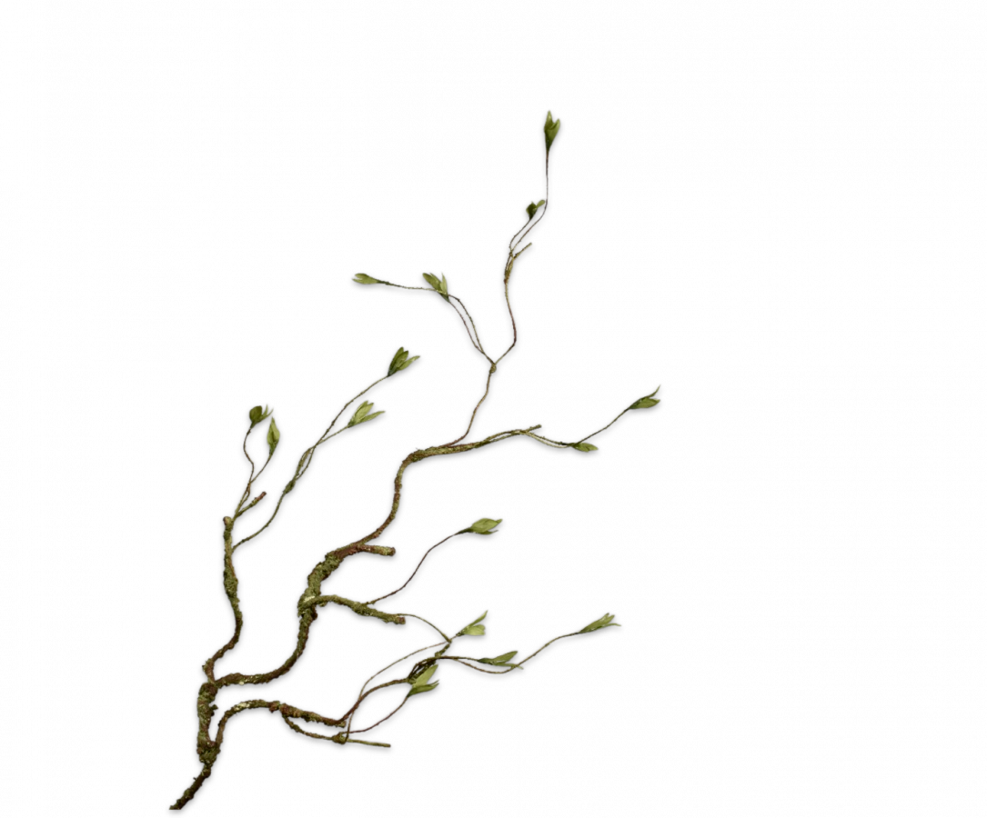 WEIDENBRANCH GRÜN 80 cm-2