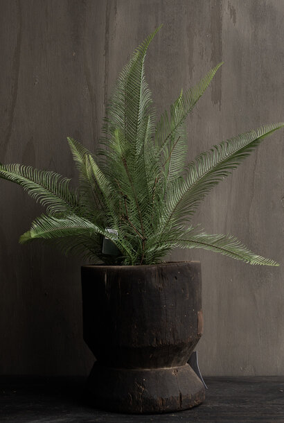 FERN IN POT GREEN 35 cm