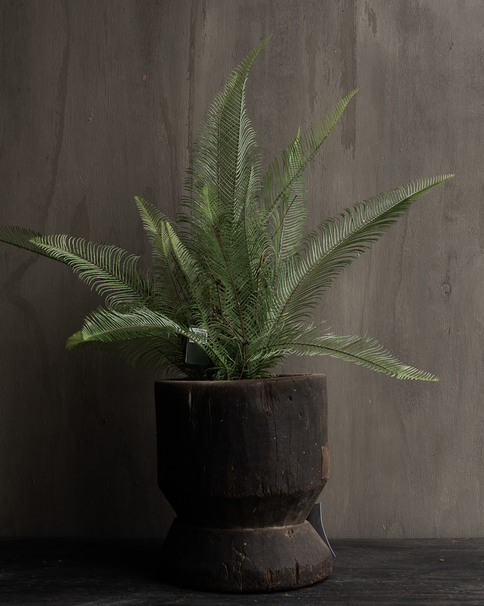 Farn im Topf, grün, 35 cm-1