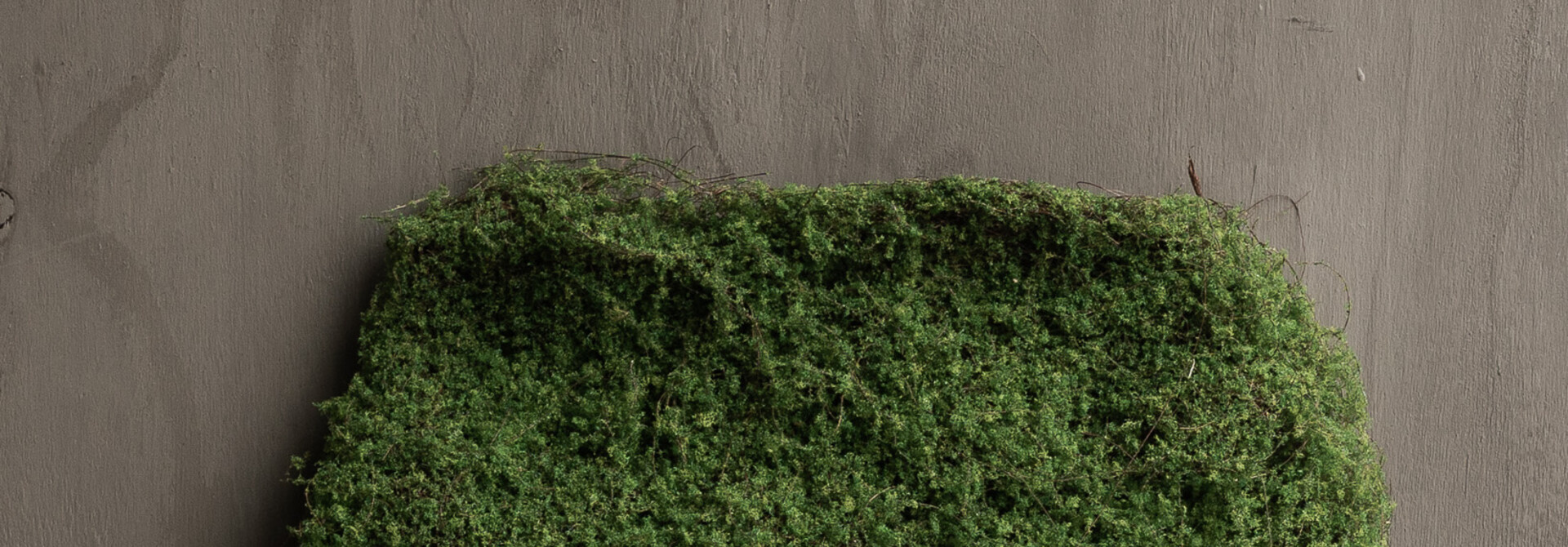 MOSS PLAG GREEN 40 cm