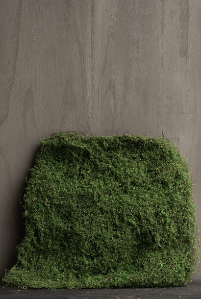 Moosgrün, 40 cm