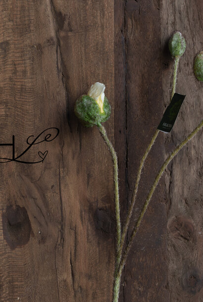 POPPY STEM CREAM 87 cm