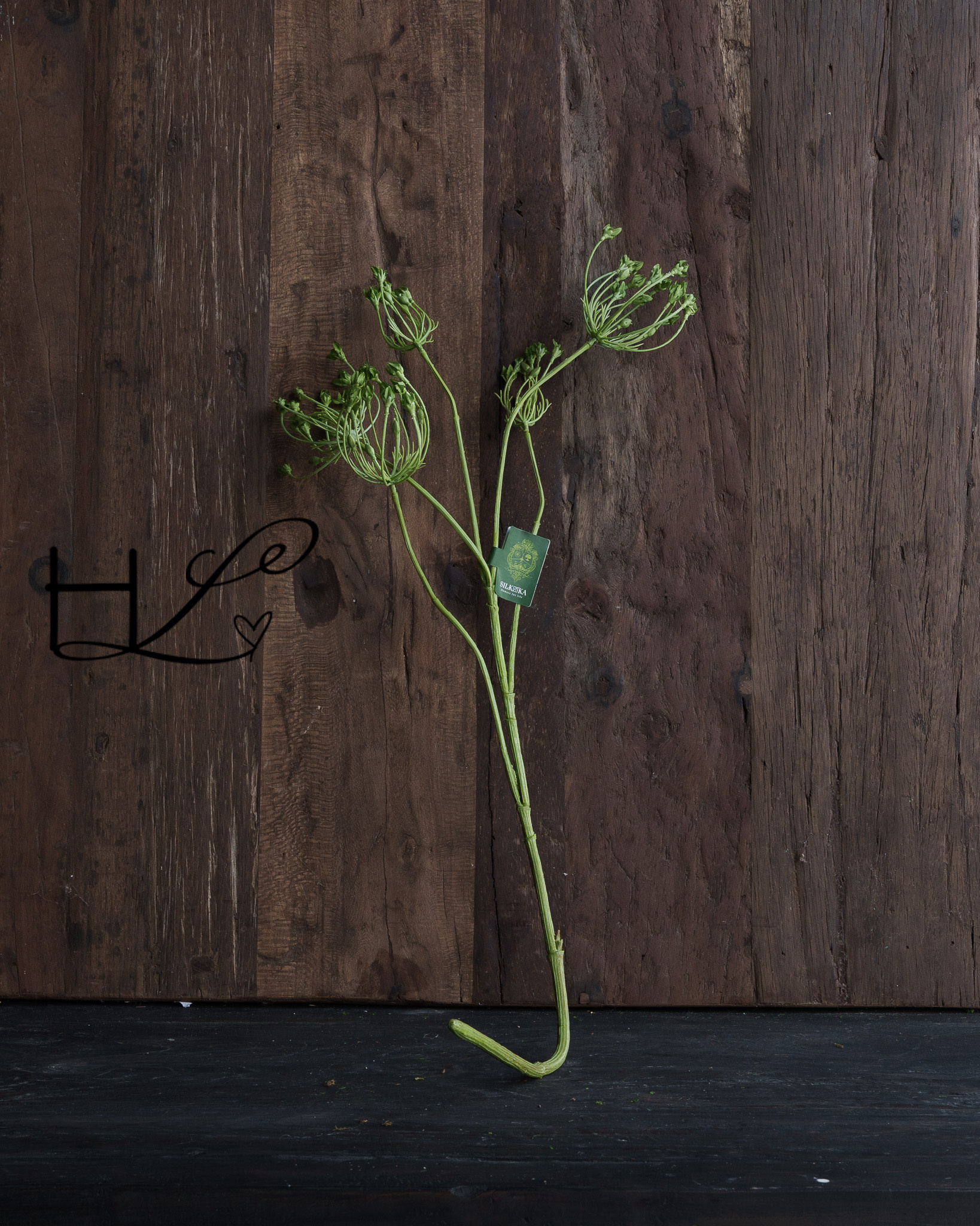 DILL BRANCH GREEN 83 cm-1