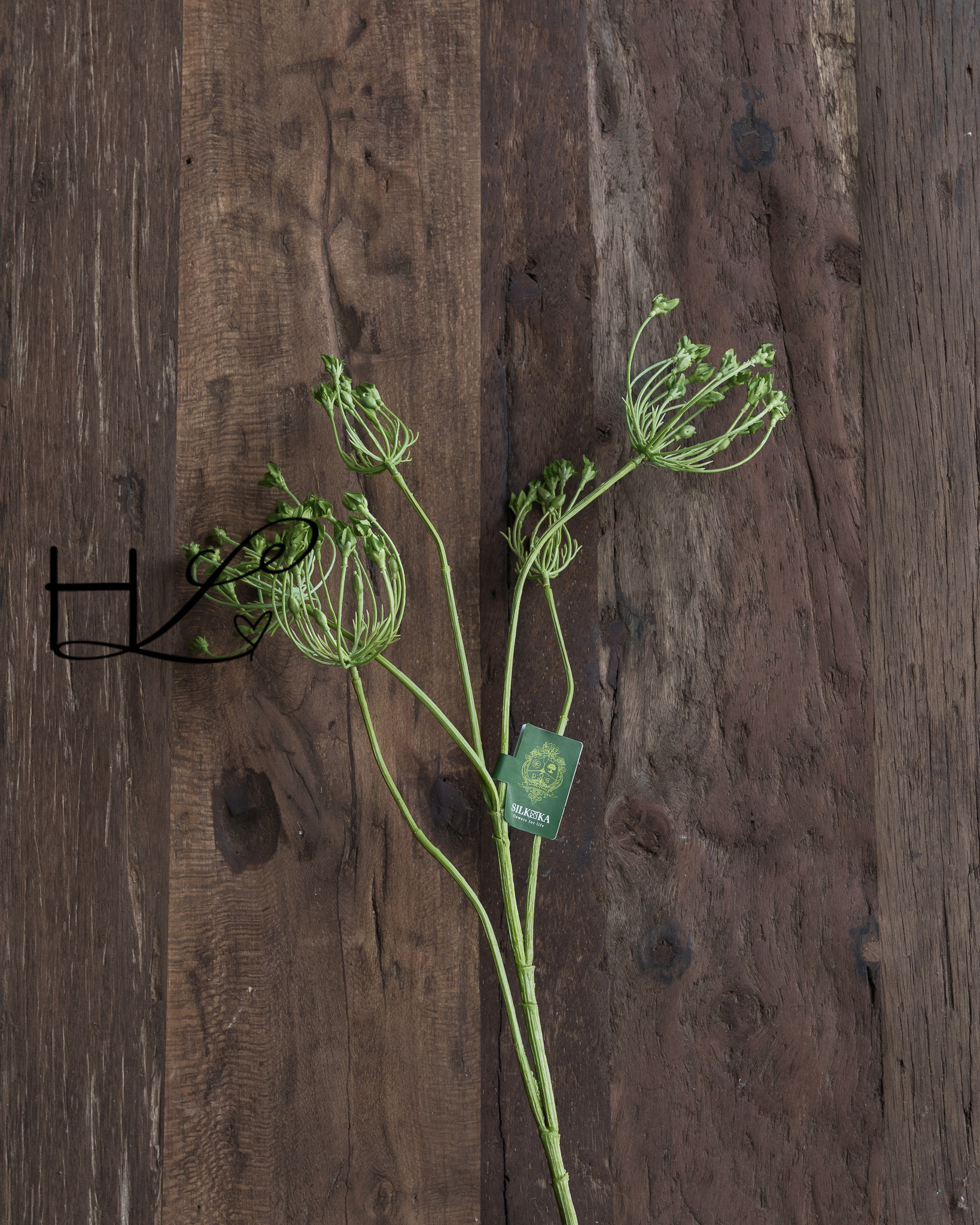 DILL BRANCH GREEN 83 cm-2