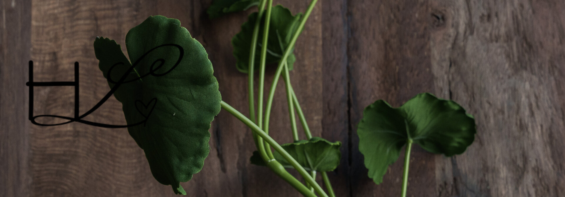 Begonienblattzweig 98 cm