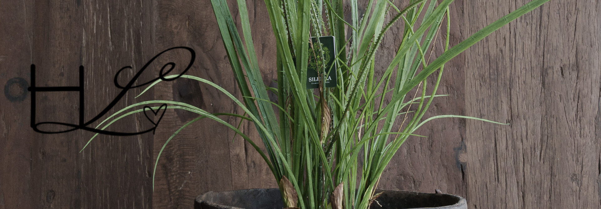 GRASS O/SOIL GRÜN 74 cm