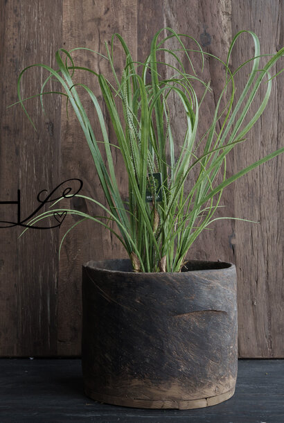 GRASS O/SOIL GRÜN 74 cm