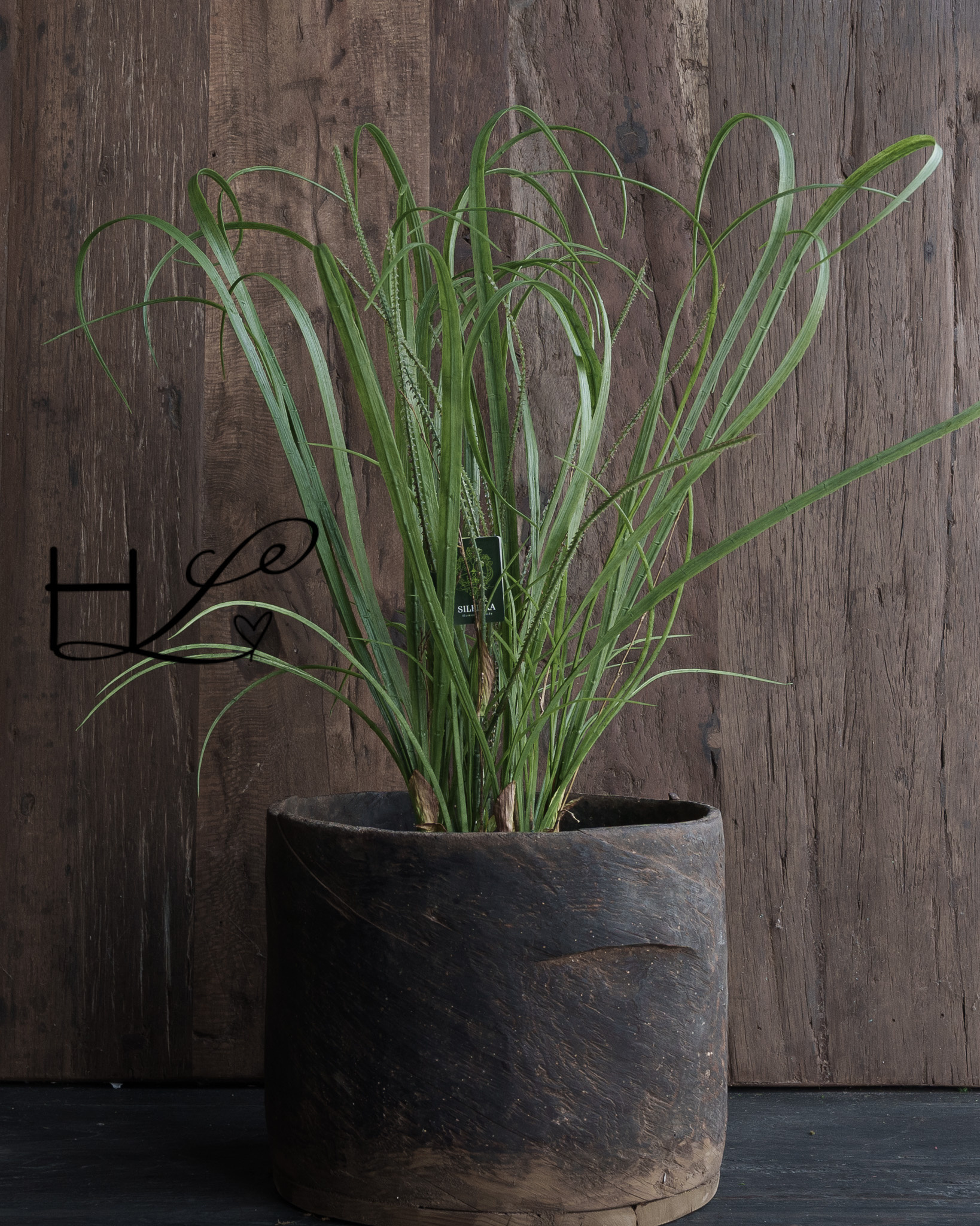 GRASS O/SOIL GRÜN 74 cm-4