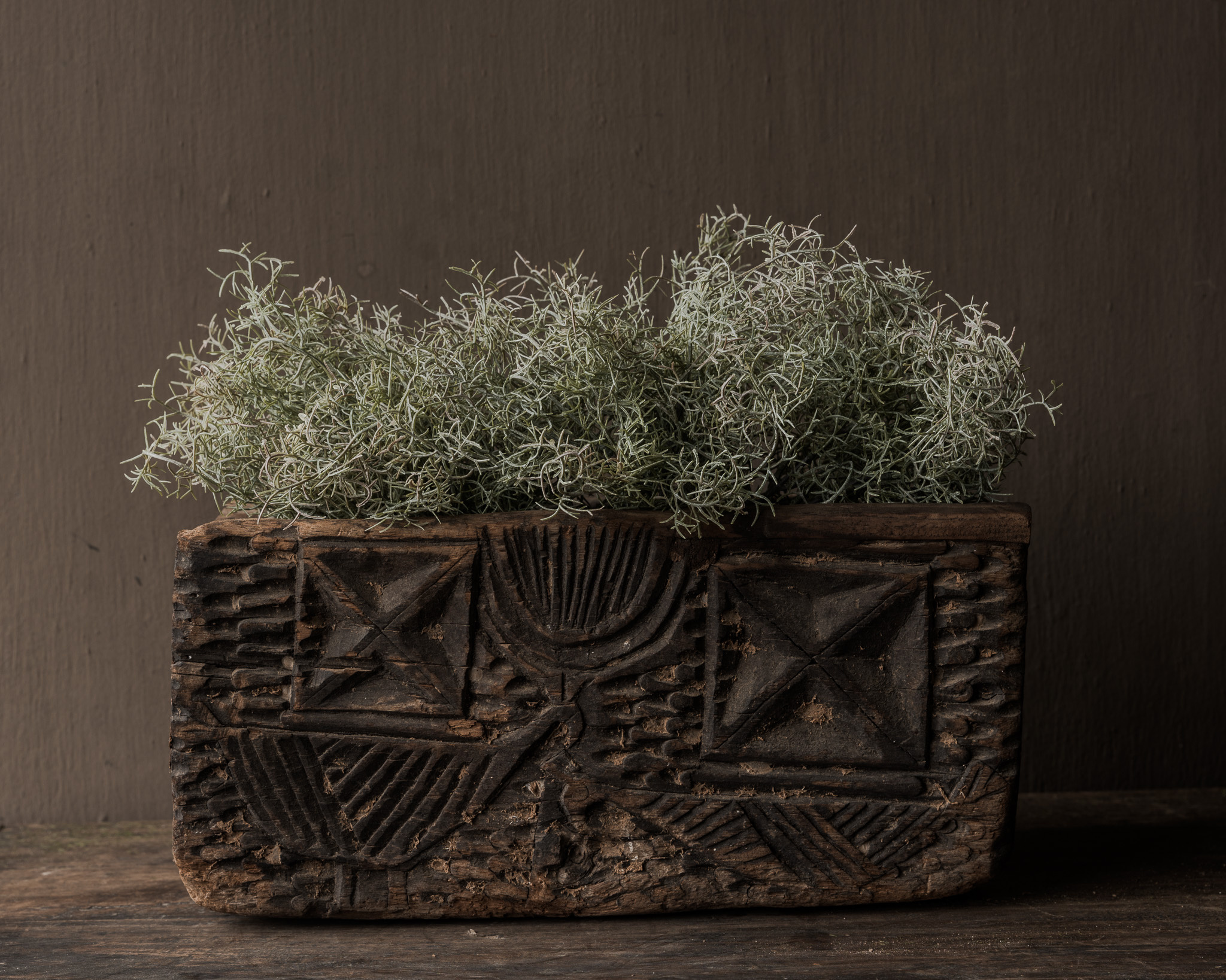 Asparagus Bush Green/White 38 cm-1