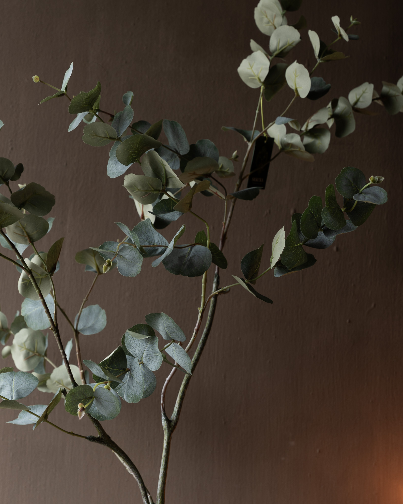 EUKALYPTUS I/TOPF GRÜN 121 cm-5