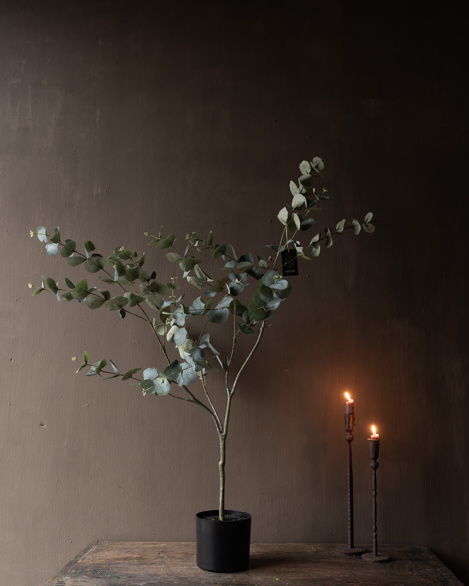 EUKALYPTUS I/TOPF GRÜN 121 cm-2