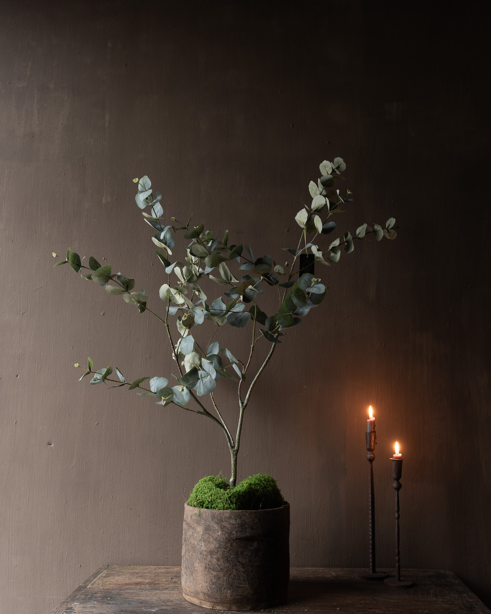 EUKALYPTUS I/TOPF GRÜN 121 cm-6