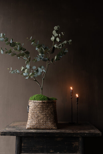 EUCALYPTUS I/POT GREEN 121 cm