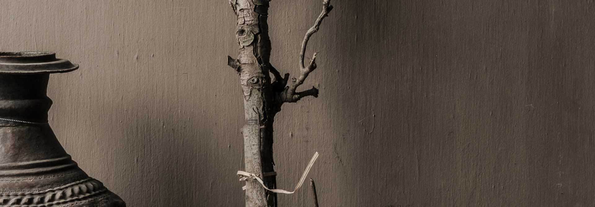 Natuurlijke Perentak – Decoratieve Tak