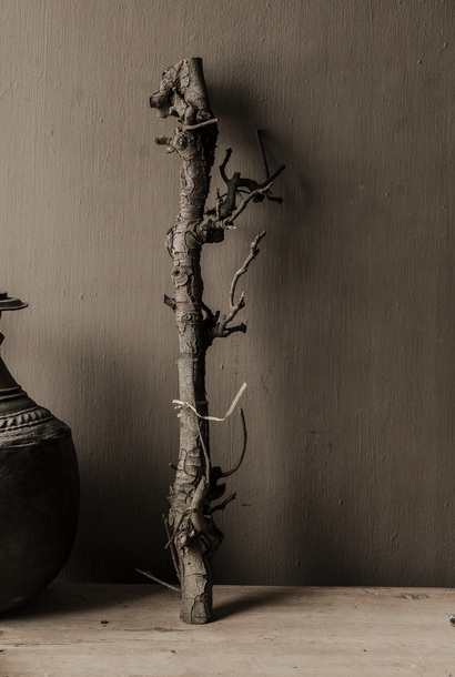 Natural Pear Branch – Decorative Branch