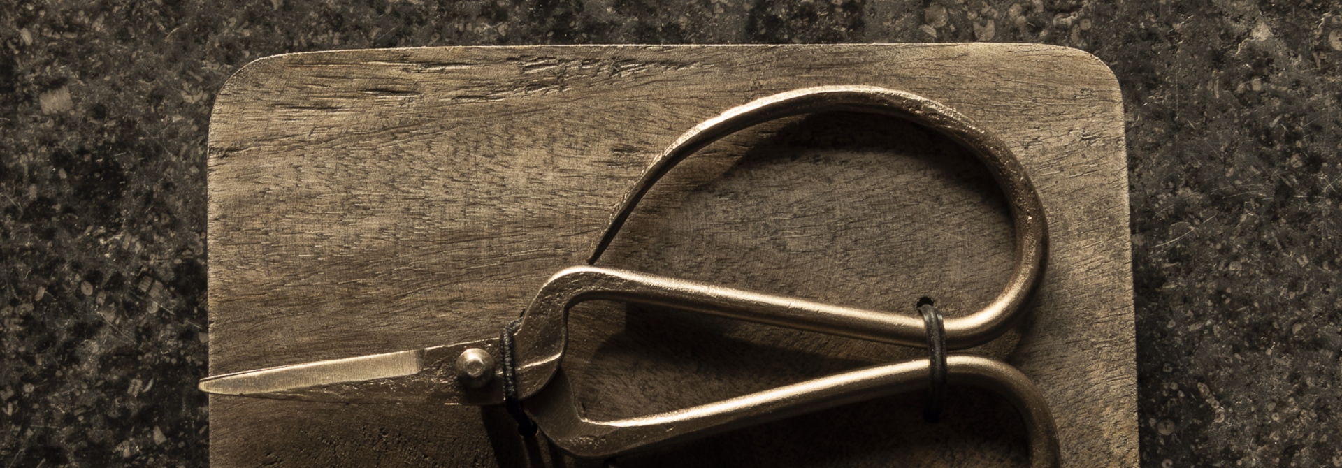 Hammered wrought iron scissors Aura Peeperkorn