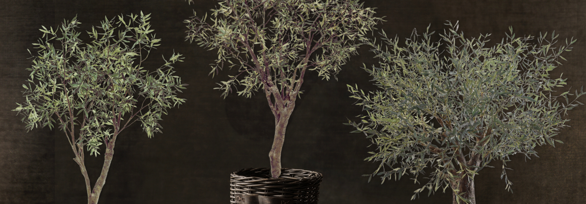 Exclusieve Olijfbomen kunst Silk-Ka