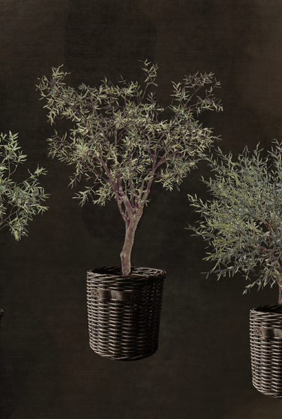 Exclusive Olive Trees art Silk-Ka
