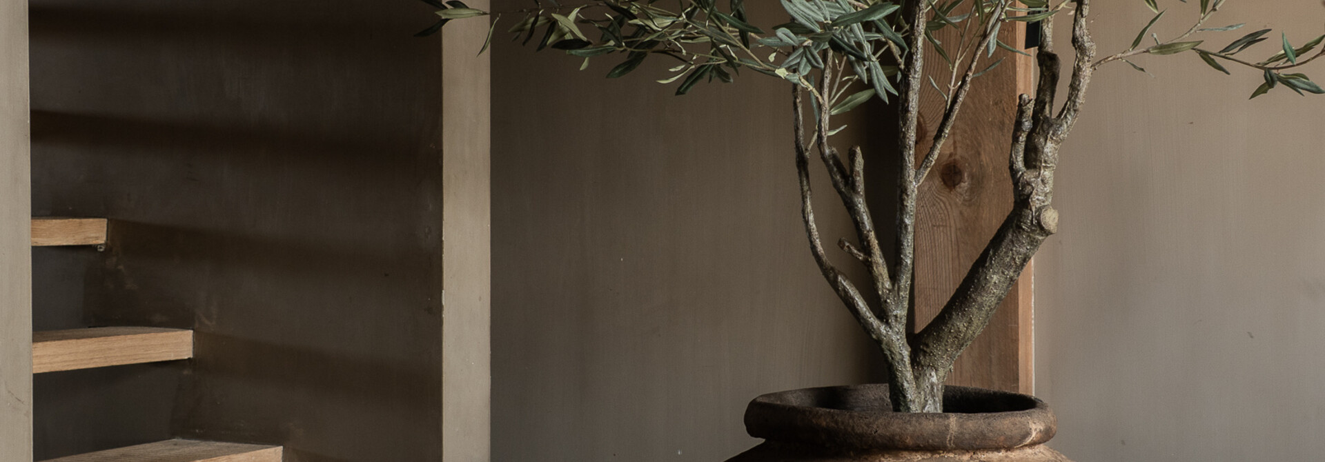 Silk-ka Olivenbaum 198 cm – Realistischer künstlicher Olivenbaum | Luxuriöse Wohndekoration