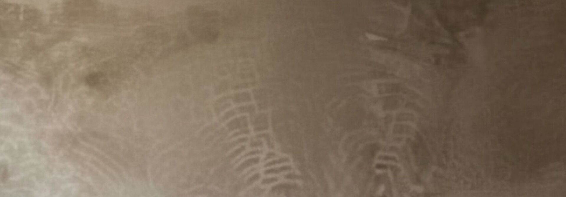 Houten Salontafel oude deur India