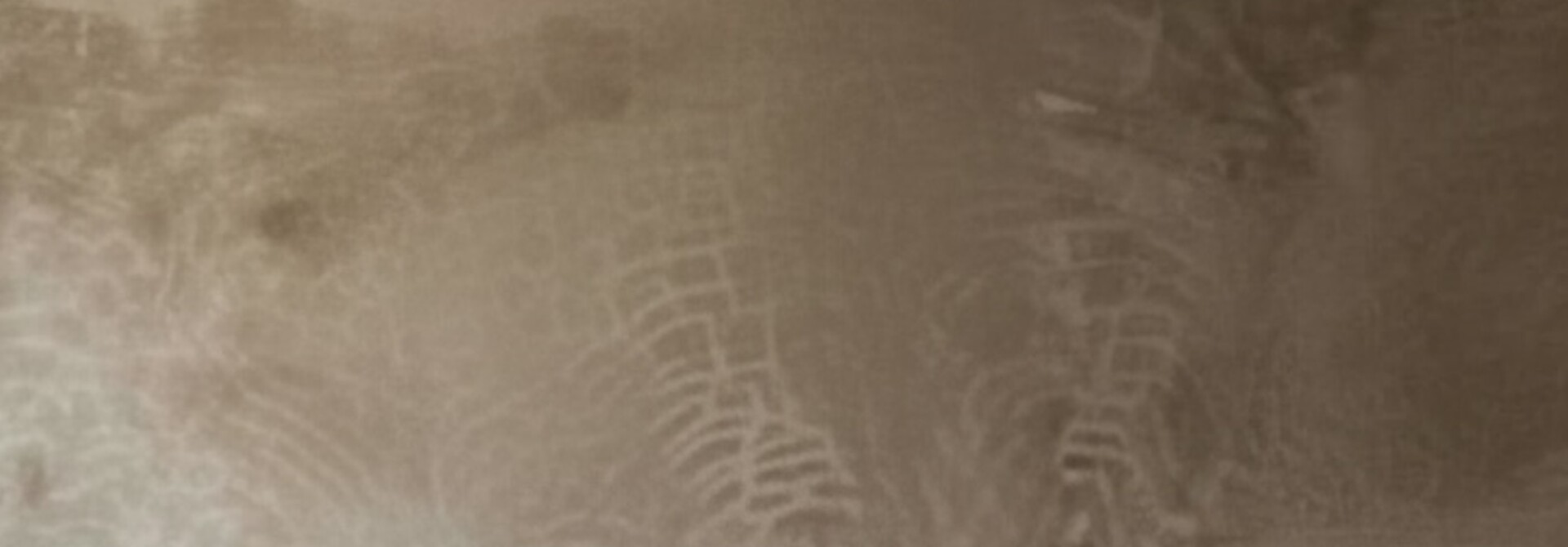 Houten Salontafel oude deur India