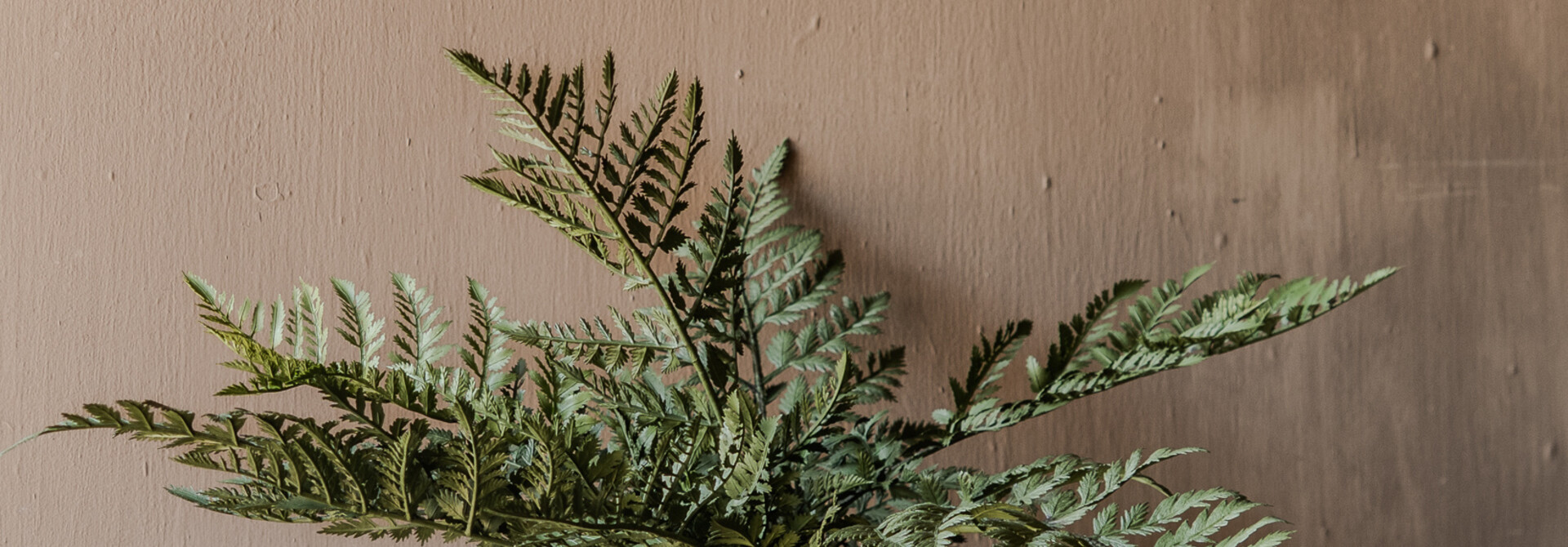 Grüner Buschfarn – 45 cm | Silk-ka