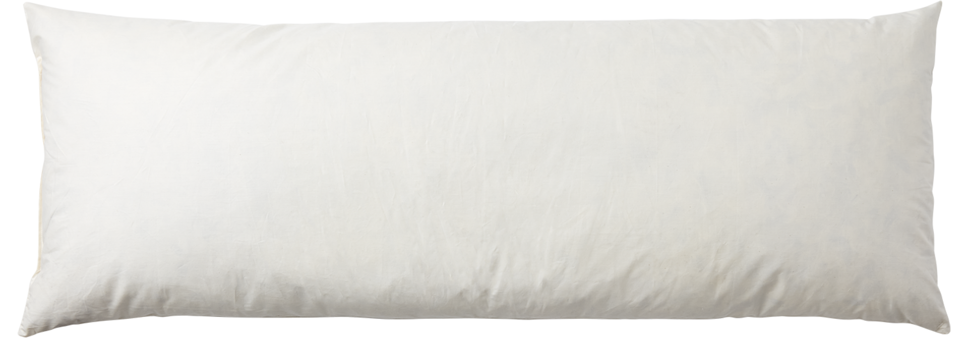 Binnenkussen Dons & Veren – Beige 110x40cm