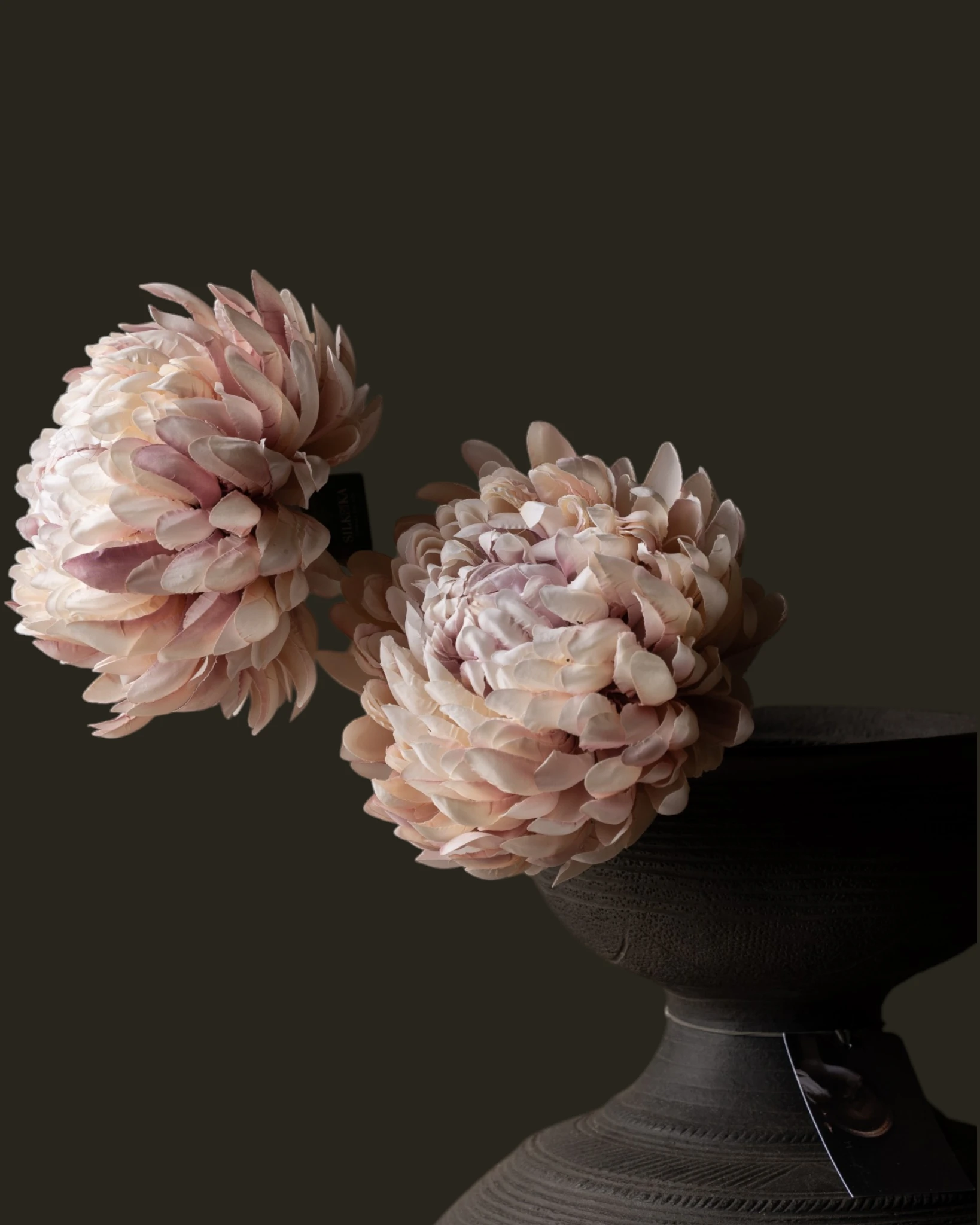 CHRYSANT TAK ROZE LT 64 cm-2