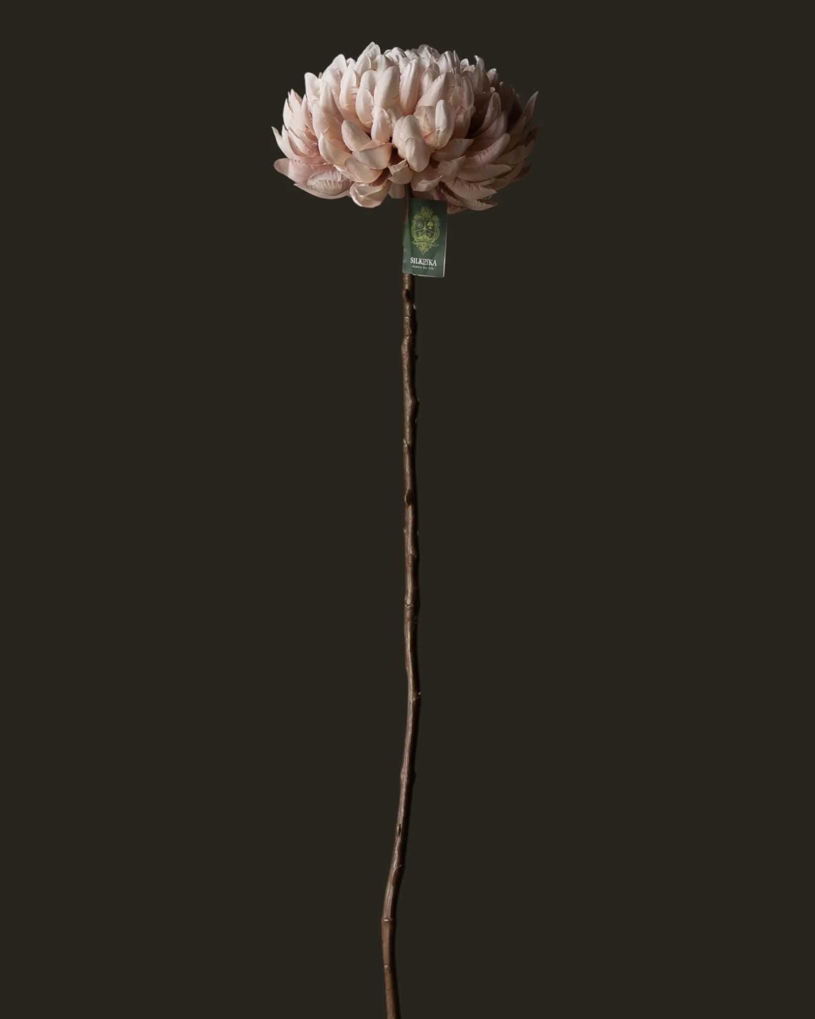 CHRYSANT TAK ROZE LT 64 cm-3