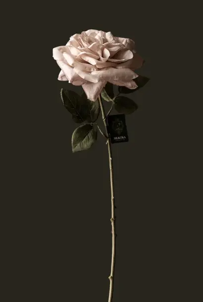 ROOS STEEL BRN LT 65 cm SILK-KA