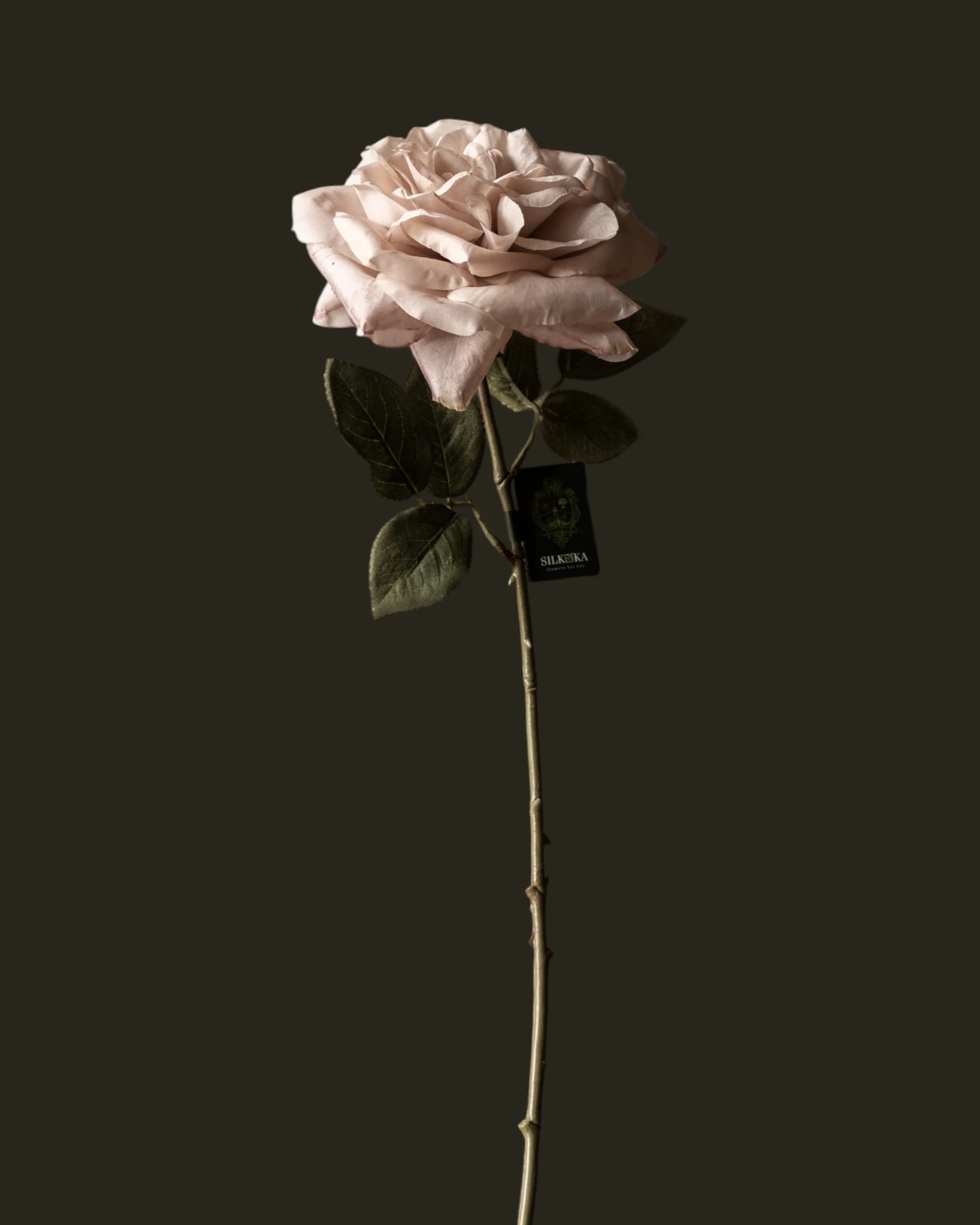 ROOS STEEL BRN LT 65 cm SILK-KA-1