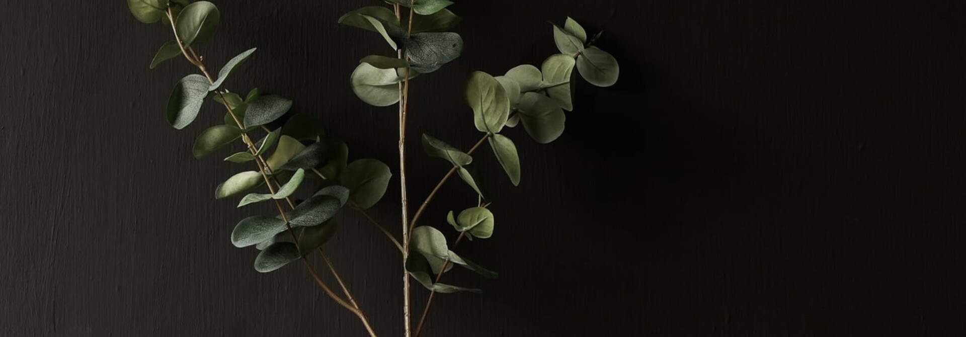 Eucalyptus Tak Groen 86 cm | Natuurlijke Kunstta