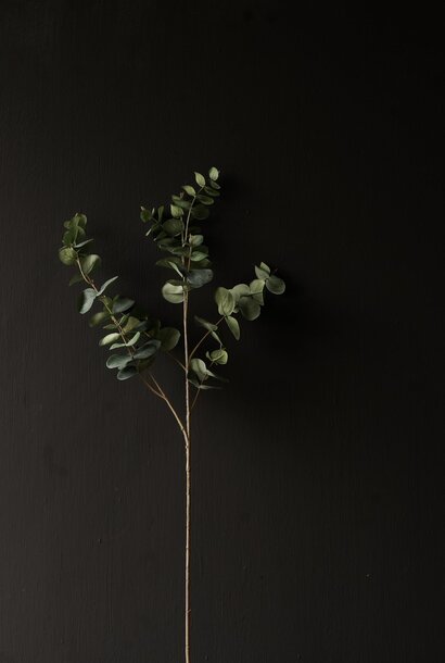 Eucalyptus Tak Groen 86 cm | Natuurlijke Kunstta