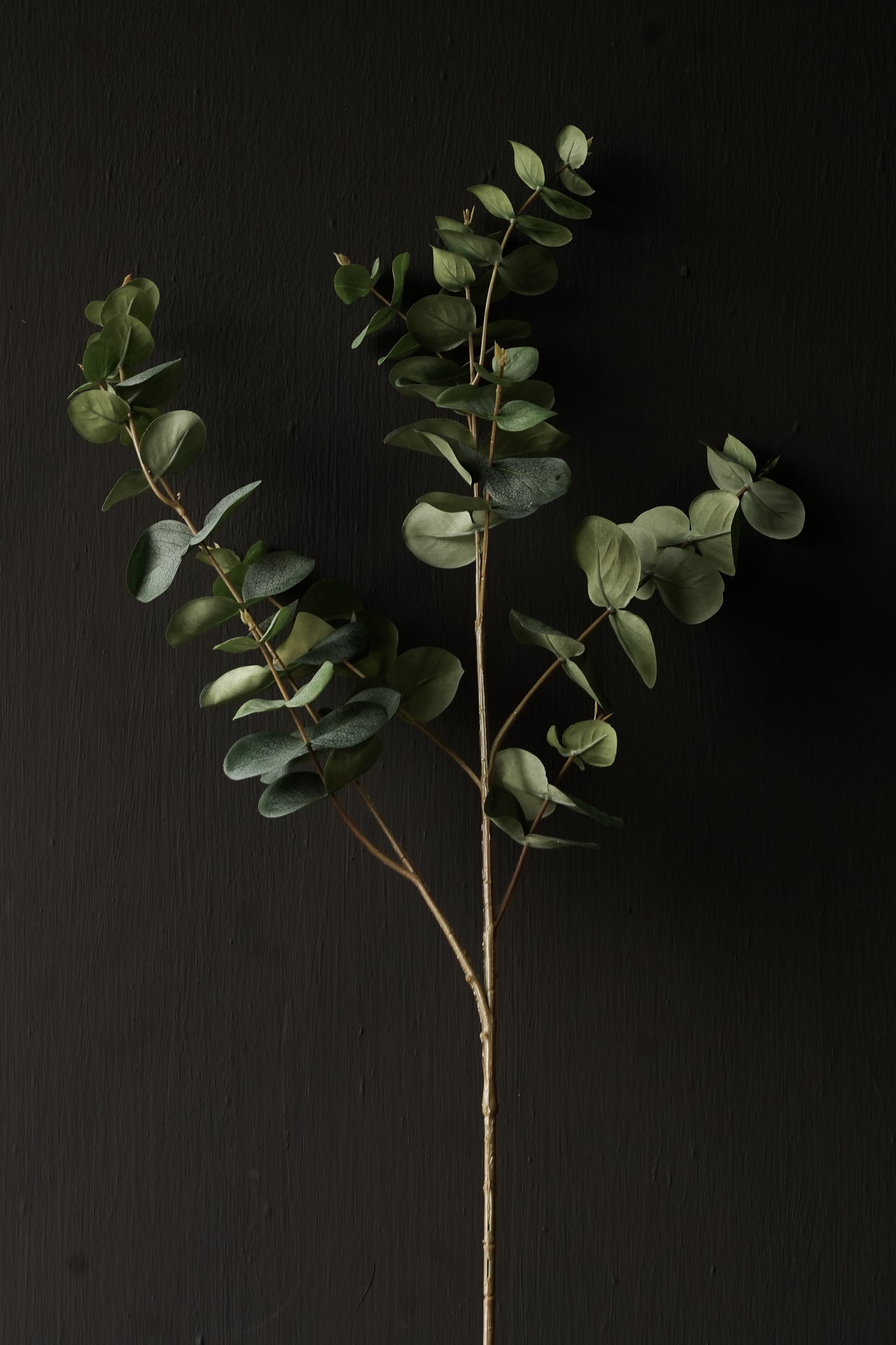 Eucalyptus Tak Groen 86 cm | Natuurlijke Kunstta-3