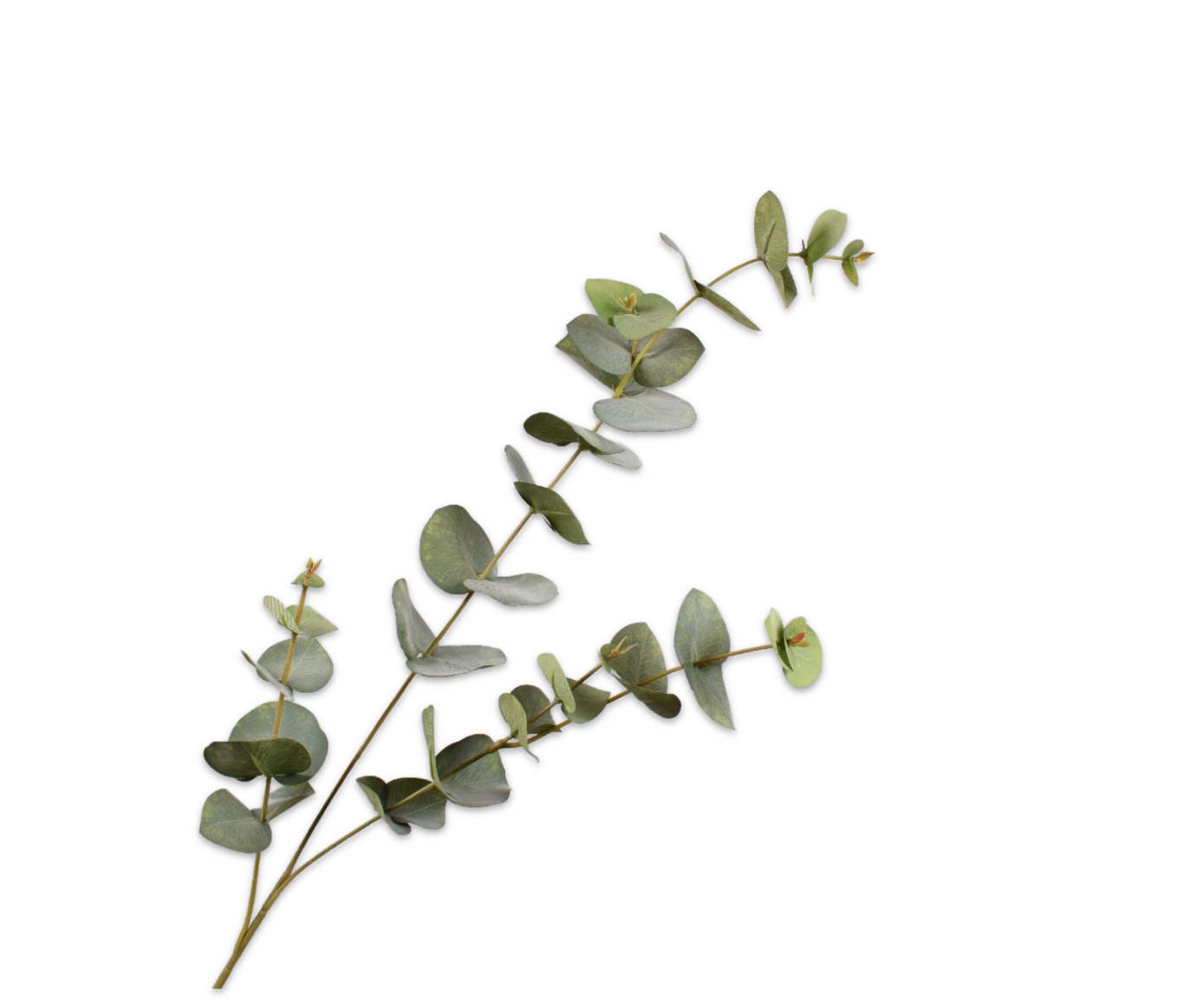 Eucalyptus Tak Groen 86 cm | Natuurlijke Kunstta-2