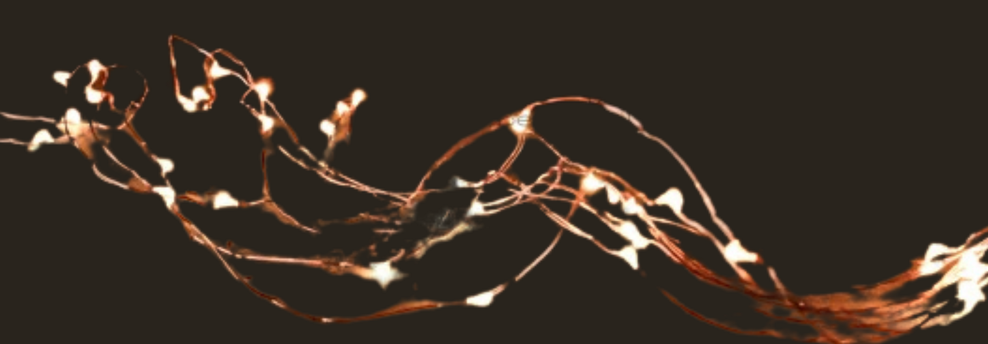 Weihnachtsbeleuchtung | Stimmungsvolle Weihnachtsbeleuchtung & LED-Beleuchtung