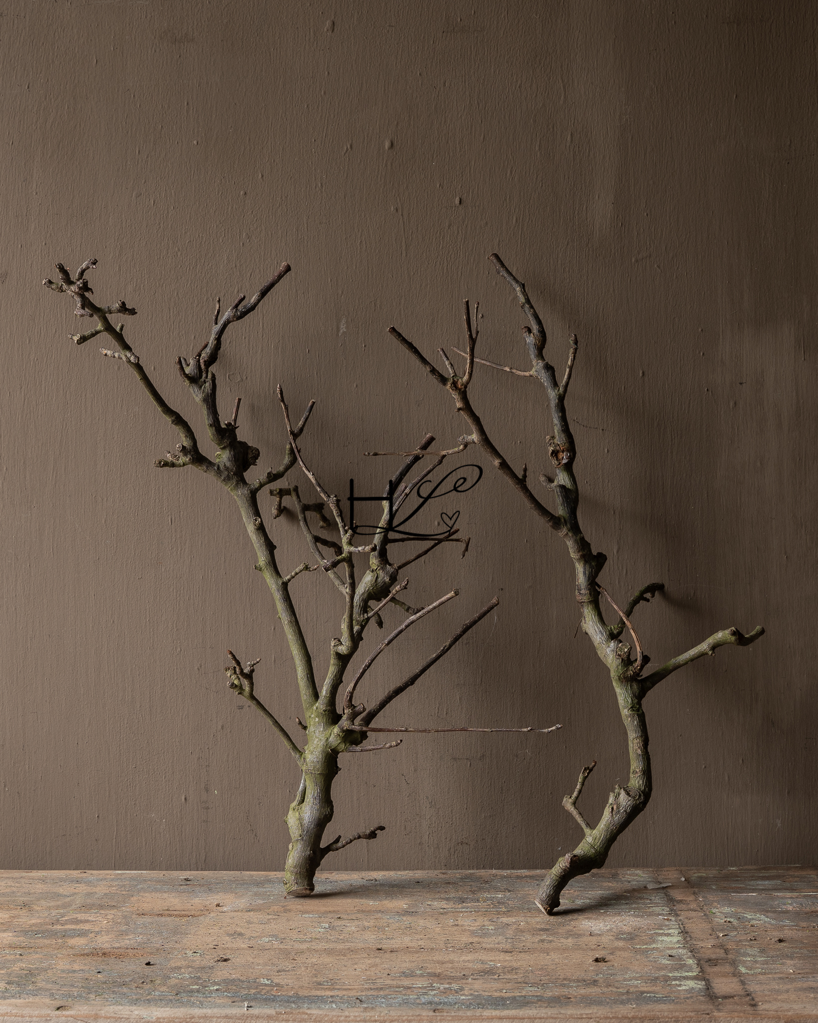Natuurlijke Perentak – Decoratieve Tak-2