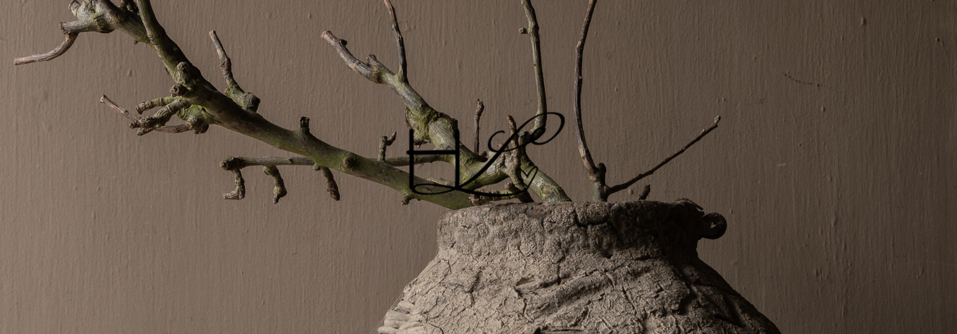 Natuurlijke Perentak – Decoratieve Tak