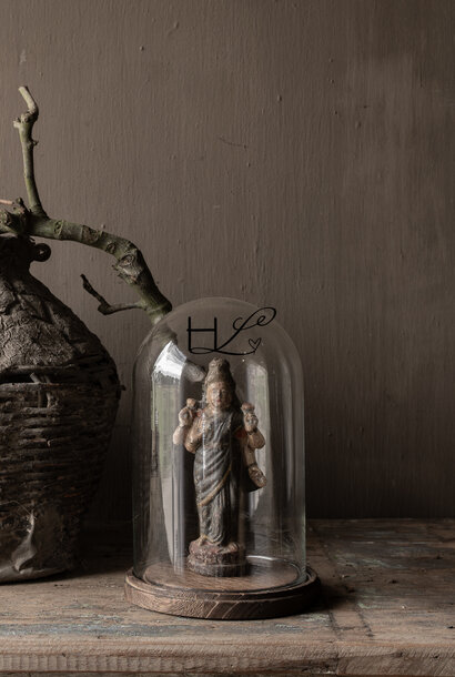 *Reserved *Glass Dome on wooden base