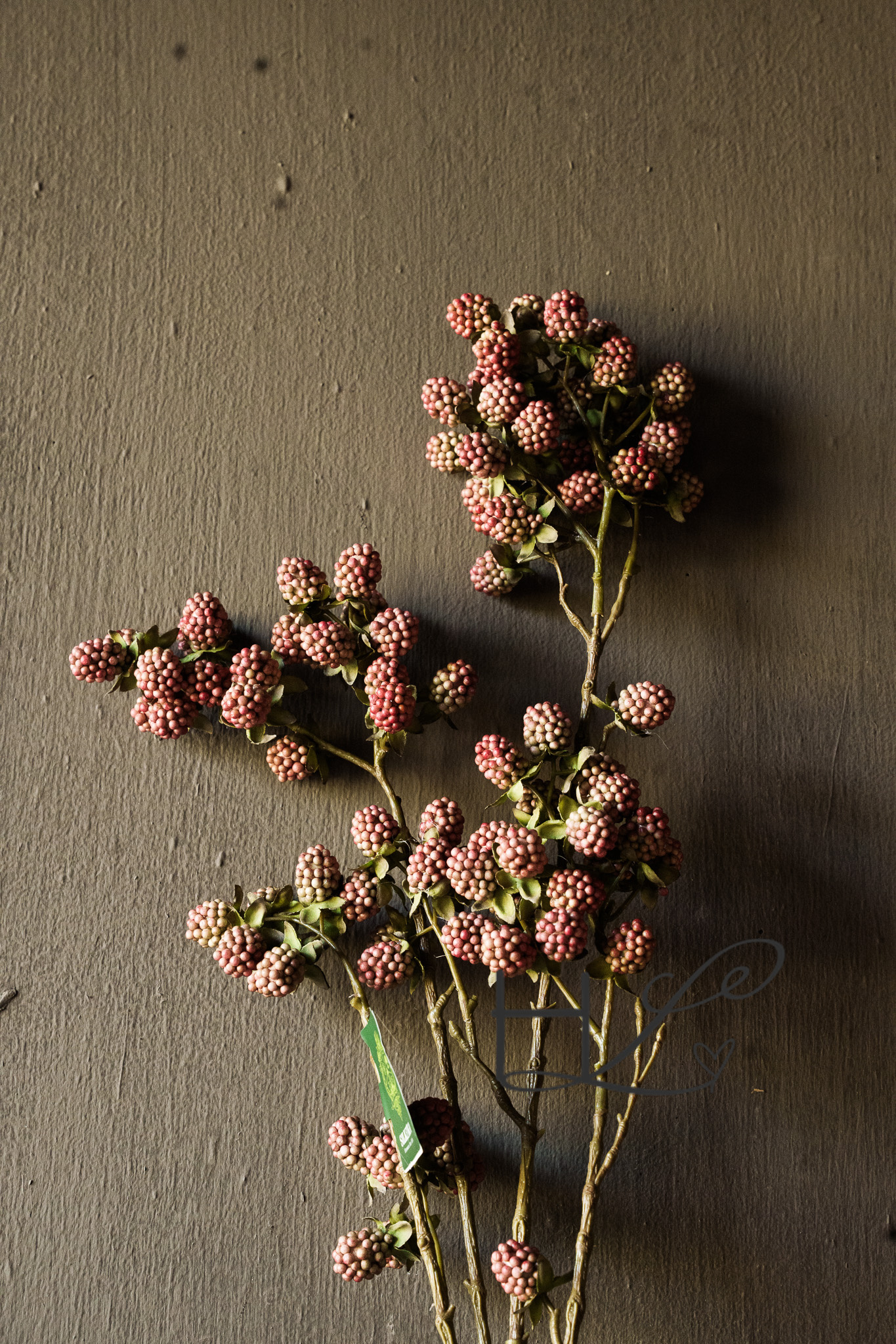 BRAMEN TAKKEN Rood-6
