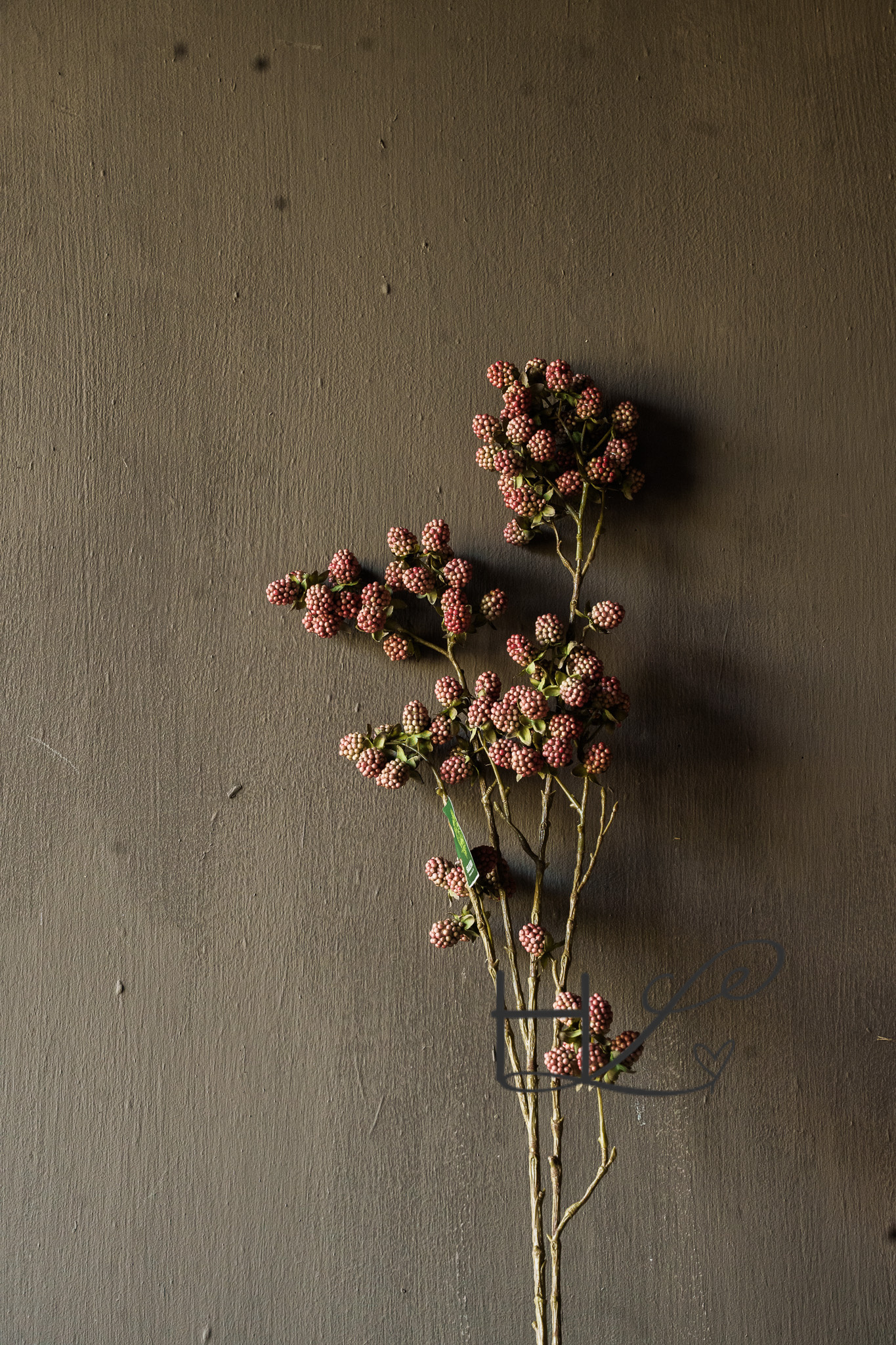 BRAMEN TAKKEN Rood-8