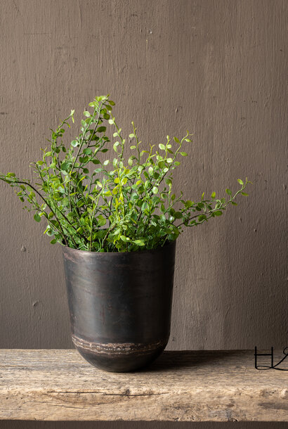 BUXUS BUSH GROEN 58 cm