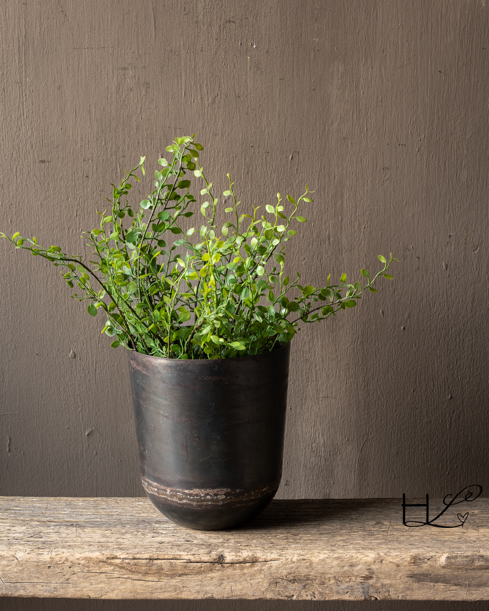 BUXUS BUSH GROEN 58 cm-1