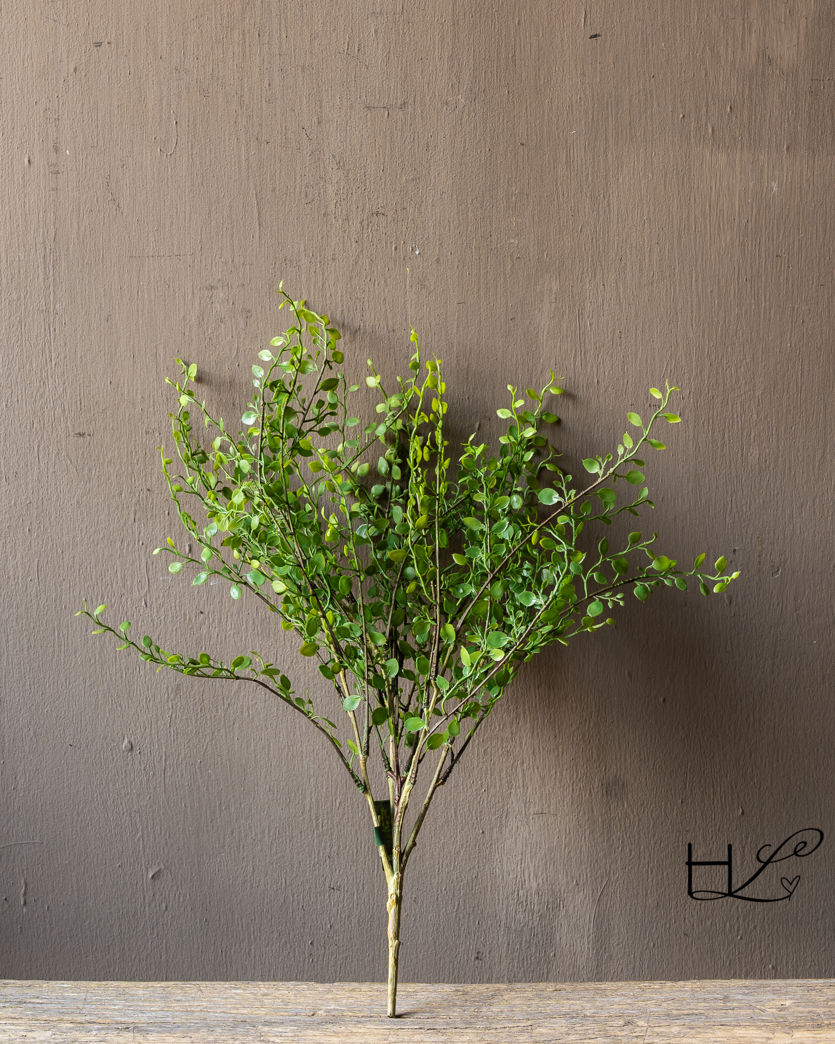 BUXUS BUSH GROEN 58 cm-2