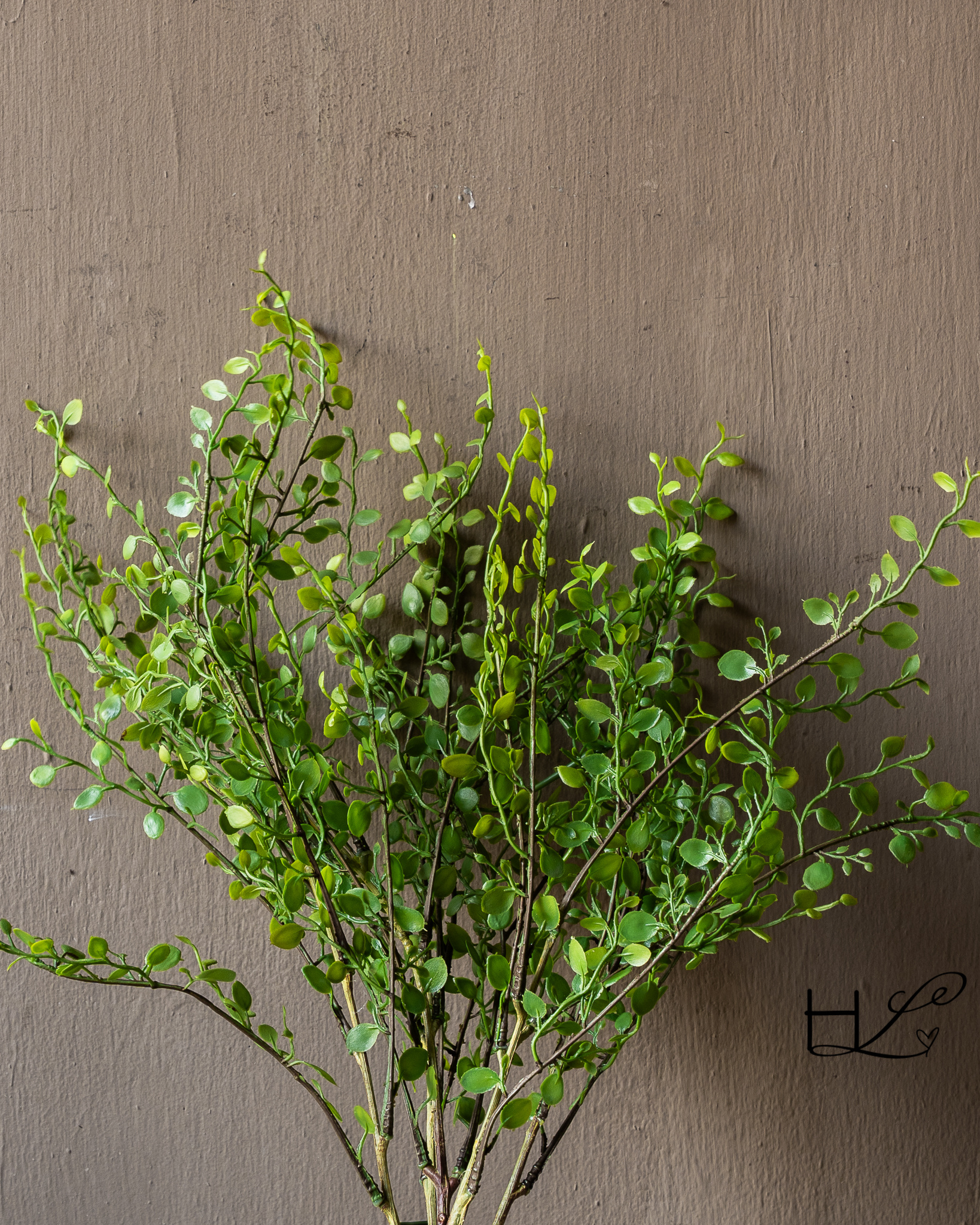 BUXUS BUSH GROEN 58 cm-3