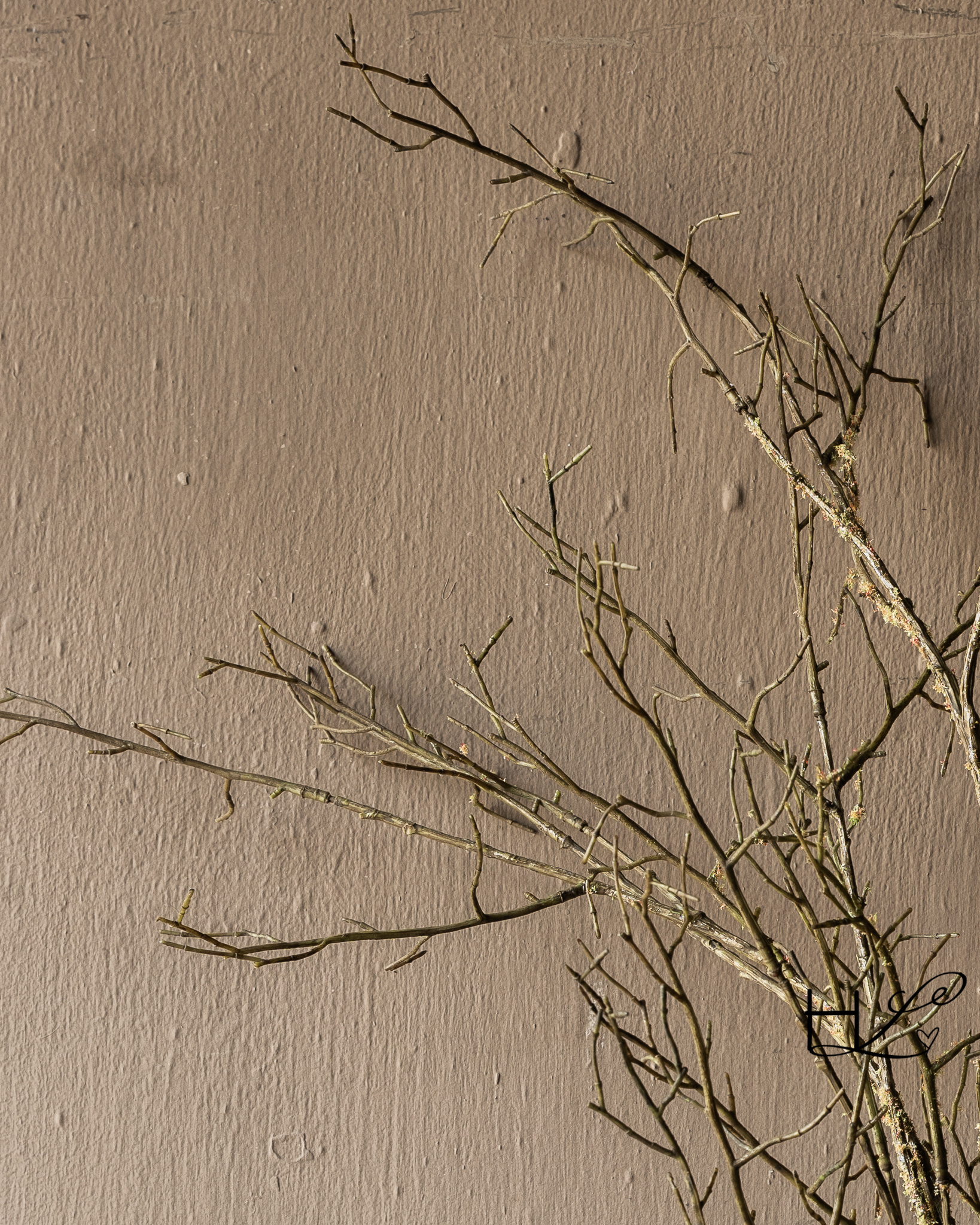 HOUTTAK Bruin/Groen – Silk-ka – 107 of 134 cm-5
