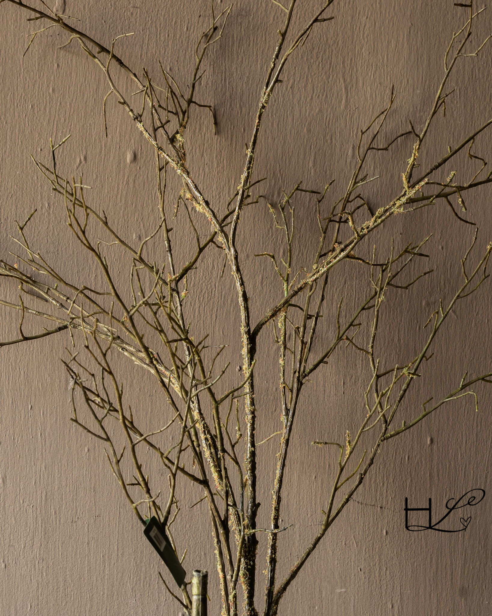 HOUTTAK Bruin/Groen – Silk-ka – 107 of 134 cm-6