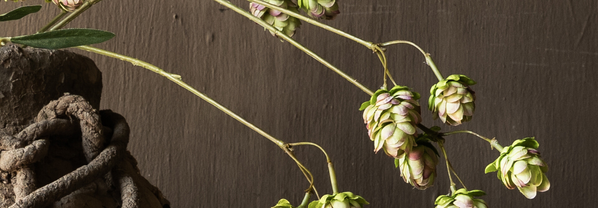 Silk-ka Kunst Hoptak Groen/Roze – 108 cm