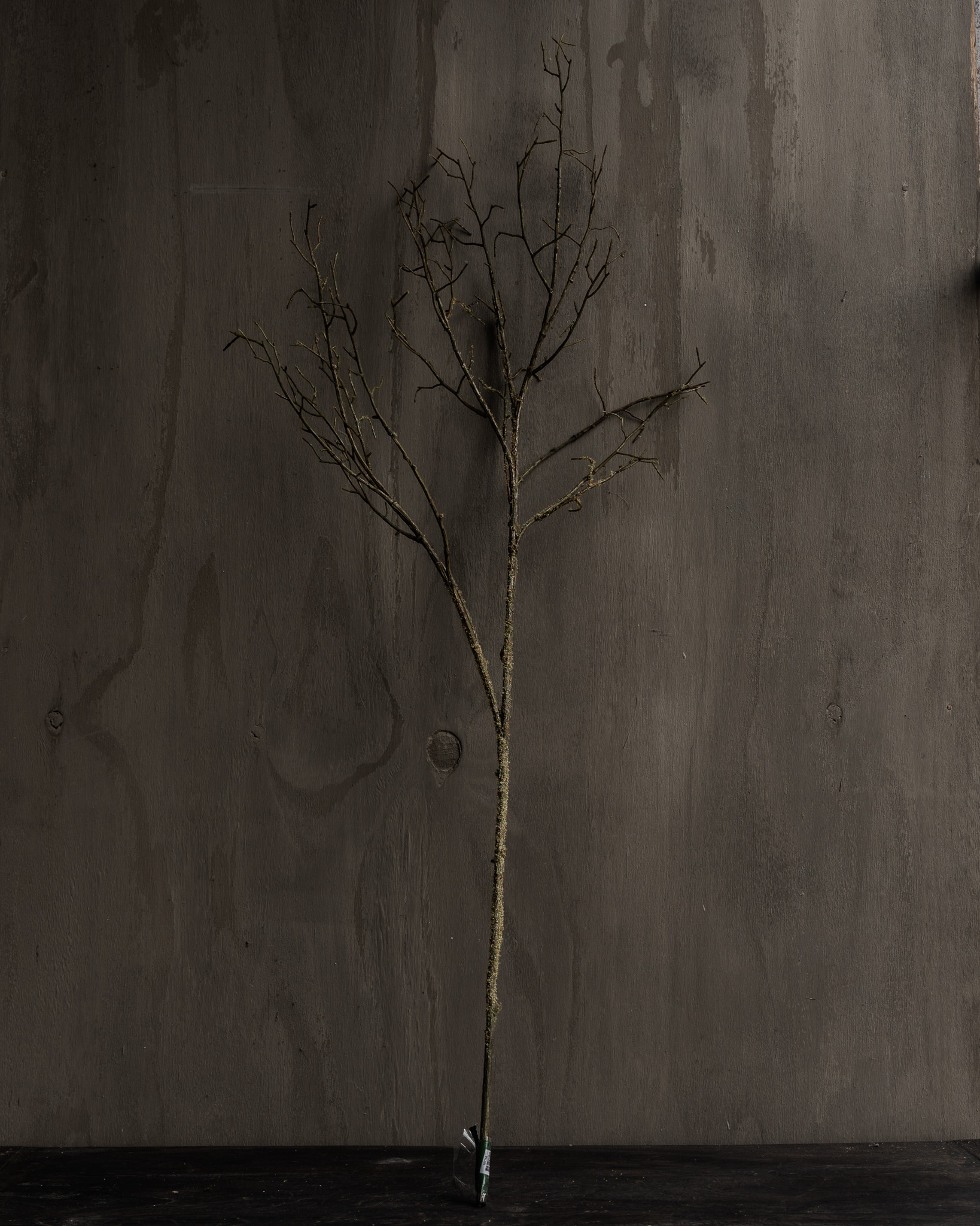 HOUTTAK Bruin/Groen – Silk-ka – 107 of 134 cm-7